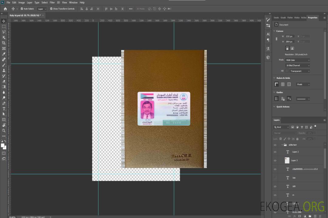 Photolook de la carte du syndicat des médecins soudanais AVANT template